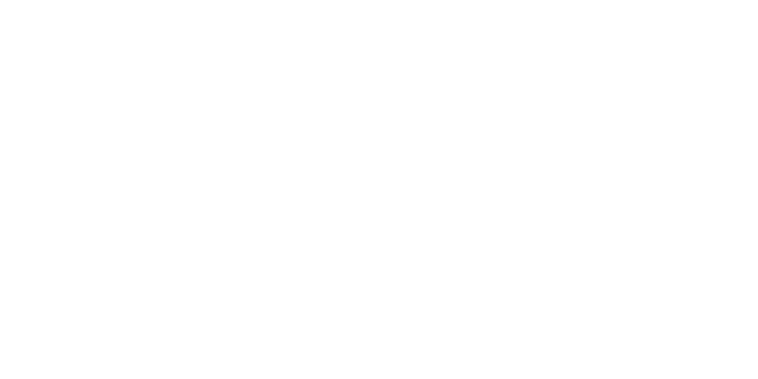 PT5 China Logo